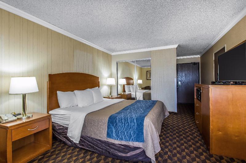 Quality Inn&suites Los Angeles Airport - Lax Hotel Inglewood